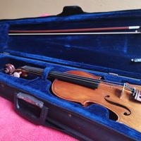 Violín clásico con estuche image