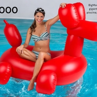 Flotador Gigante de Globo para Piscina image