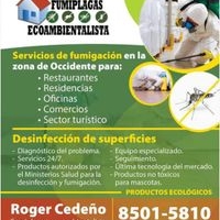 Servicio de Fumigación eco ambientalista  image