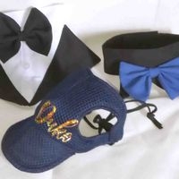 Set de Accesorios Elegantes para Mascotas image
