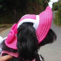 Gorra para Perro Rosa image