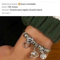 Pulsera Encantadora de Acero Inoxidable image