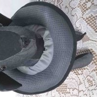 Collar Inflable para Mascotas image