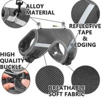 Arnés Reflectante para Mascotas. Talla M. Envío gratis hasta el 31 de Dic. 2024 image