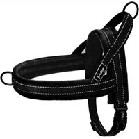 Arnés para Perro Ajustable, acolchado y reflectivo. Talla M. image