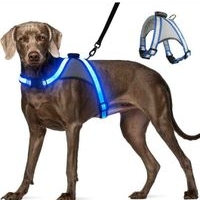 Arnés LED para Perros.Talla M. Envío gratis hasta el 31 de Dic. 2024 image