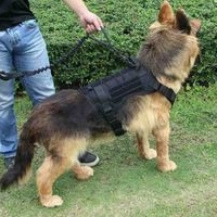 Arnés Táctico para Perro. Talla XL. image