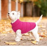 Abrigo para Perro Acolchado. Talla Xl. image