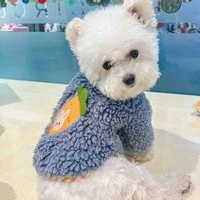 Suéter de lana para perro. Tallas Celeste S y L. Blanco L. image