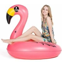 Flotador Inflable Flamenco image