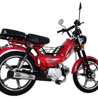 Bicimoto Formula Super Moped image