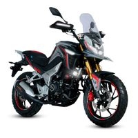 Motocicleta Vento Alpina 300 image