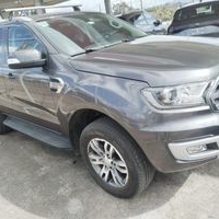 SUV Ford Everest image