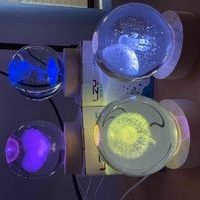 Lámparas de Cristal LED Decorativas image