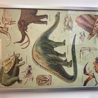Cuadro de dinosaurios image