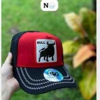 Gorra Bull Estilo Casual image