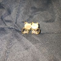 Aretes de gato elegantes image