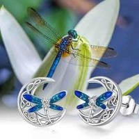 Aretes Libélula Plateados image