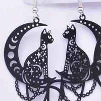 Aretes de Gato y Luna image