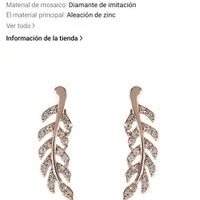 Elegantes aretes de hoja plateados image