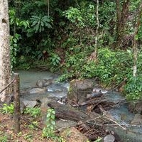 Se vende 2.5 hectares en guatuso image