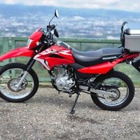 Honda XR150L 2024 image