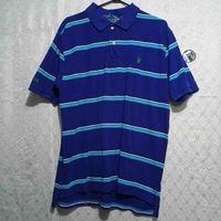 Polo azul a rayas image