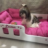 Cama para Mascotas Personalizada image