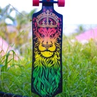 Longboard Santa Cruz image