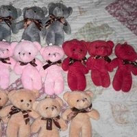 Tiernos Ositos de Peluche image