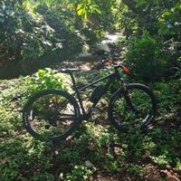 Bicicleta Scott Resistente image