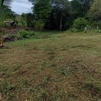 Se vende terreno en la virgen de sarapiqui image