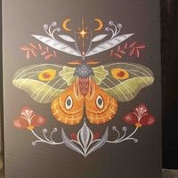 Lienzo Decorativo de Mariposa image