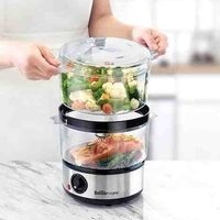 Vaporizador de alimentos eficiente image