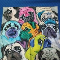 Funda para almohadón 46.5x45 image