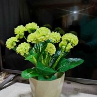 Plantas artificiales baratas 💐🐝😊 image