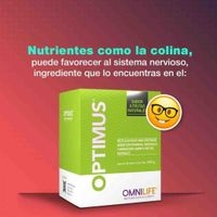 Optimus (Sistema Nervioso) image