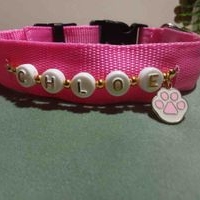 Collar personalizado para mascotas image