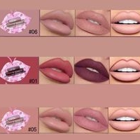 Set perfecto de labios USHAS  image