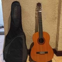 Guitarra clásica con funda Ritter image