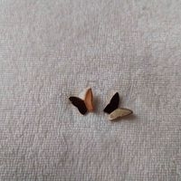 Aretes de mariposa dorados image