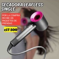 Secadora Leafless Single image