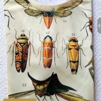 Camiseta estampada de insectos image