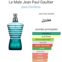 Perfume Le Male Jean Paul Gaultier image