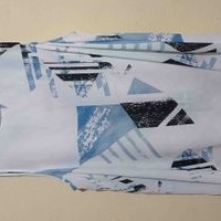 Blusa sin mangas estampada image
