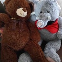 Peluches de oso y elefante image
