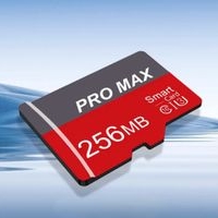 Tarjeta de Memoria 256MB image