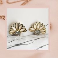 Elegantes aretes de plata image