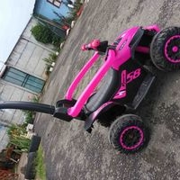 Carrito de empuje infantil rosa image
