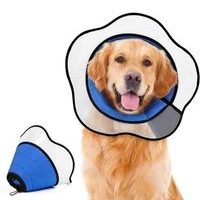 Collar isabelino para mascotas image